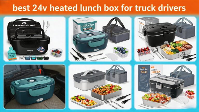 Best 24V Heated Lunch Box
